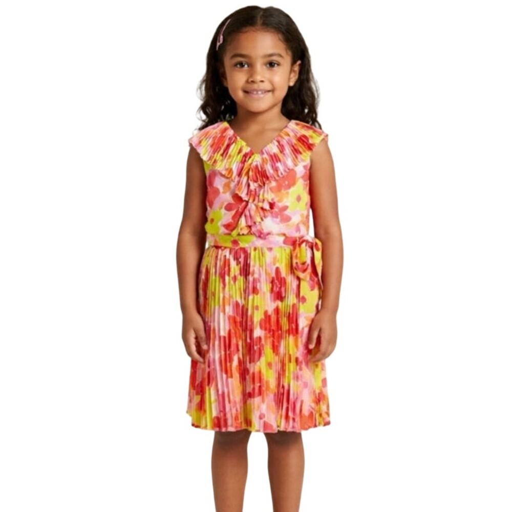 GB Social Little Girls Sleeveless V-Neck Ruffle Floral Dress Size 4